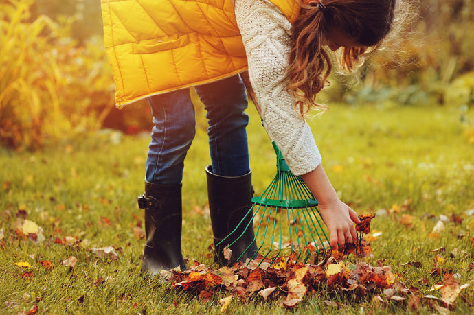 7 Steps To Prepping Your Garden For Autumn and Winter