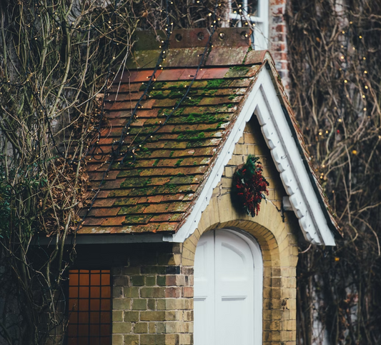 Don't Let Ruin Moss On Roof Tiles