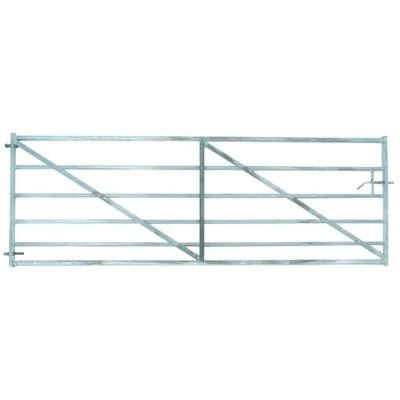 Metal Gates