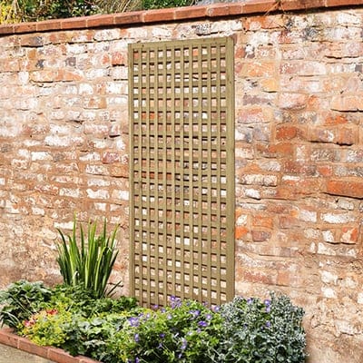 Fence Trellis