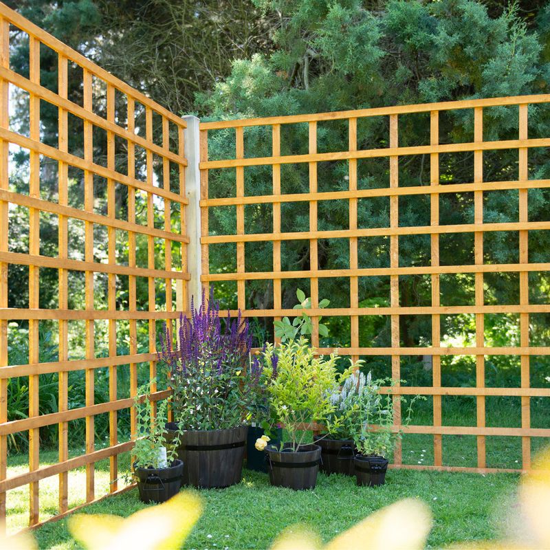 Trellis