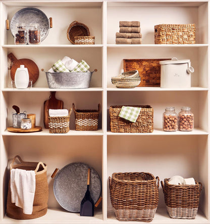 Dog Food Storage Bin With Spoon