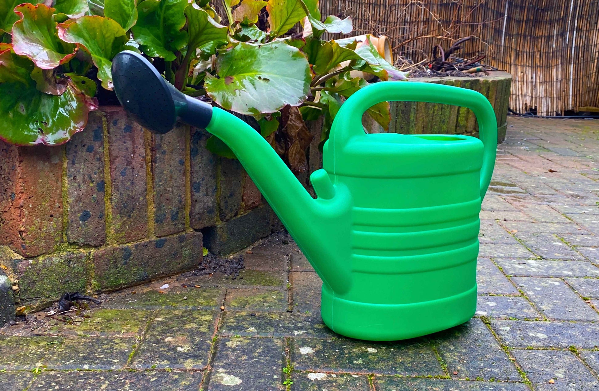 Garden Watering Can 10 Litres - Best4Trade-Retail Garden watering