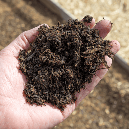 Springmix Compost Garden Mulch - Dandy's Topsoil & Landscape Supplies Topsoil & Compost