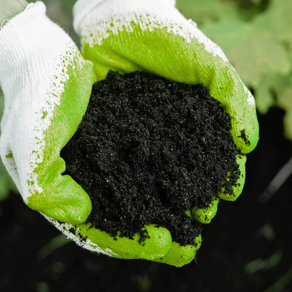 Soil Improver Conditioner - Dandy's Topsoil & Landscape Supplies Topsoil & Compost