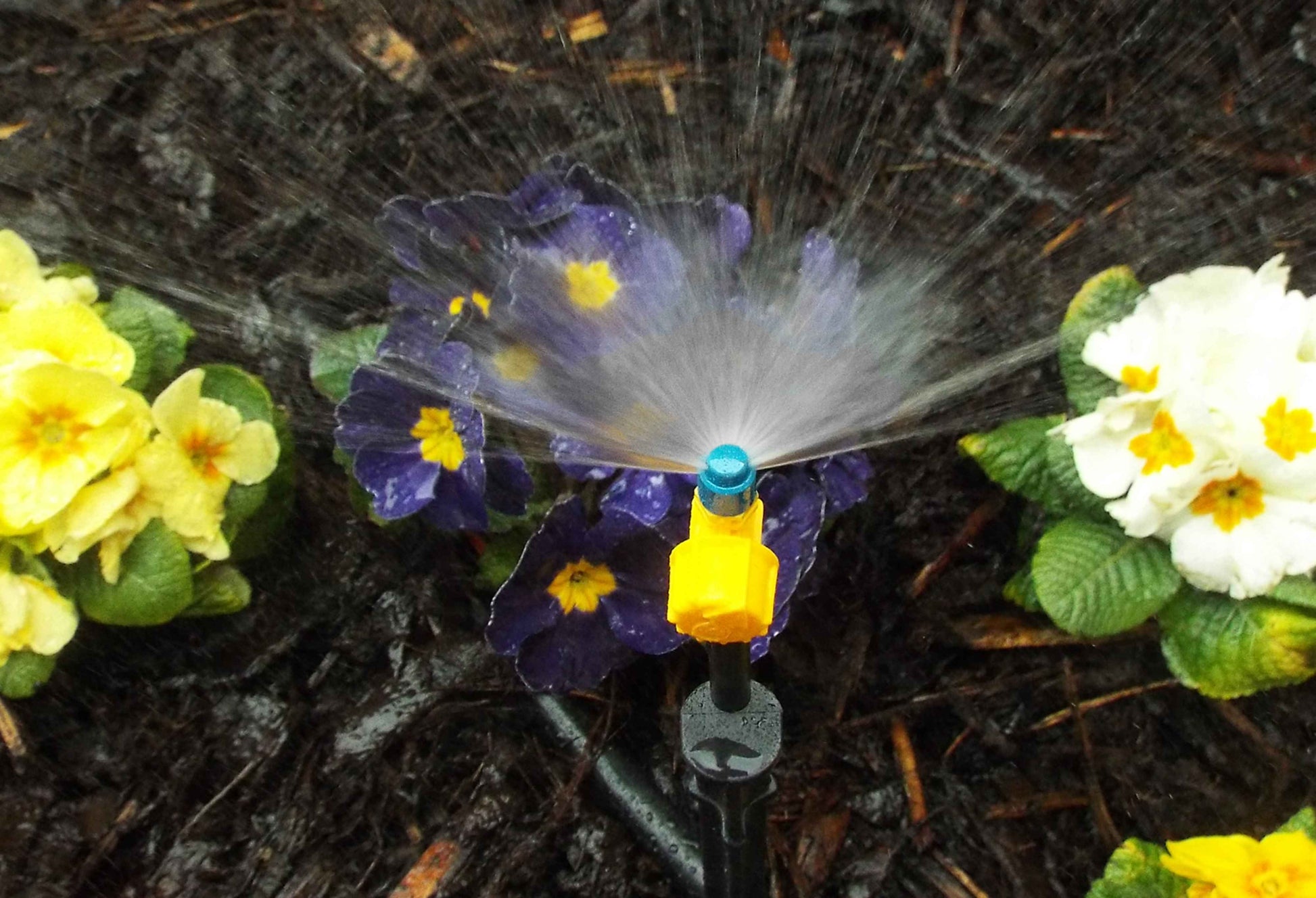 Antelco Vari-Jet™ 180° Blue Cap/ Yellow Base - Best4Trade-Retail Garden watering