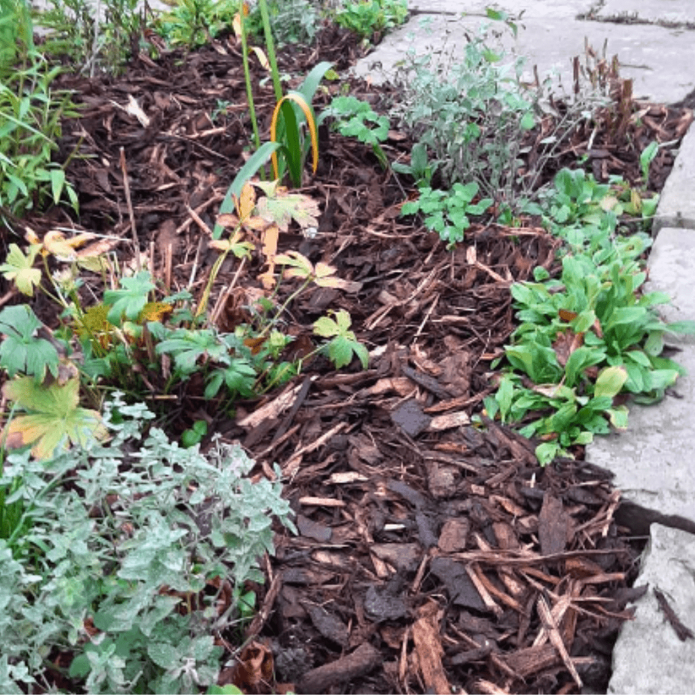 Landscaping Garden Bark Mulch - Dandy's Topsoil & Landscape Supplies Bark & Mulch