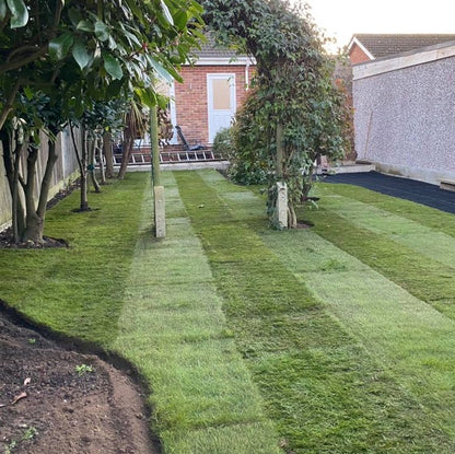 Grass Parking Grids