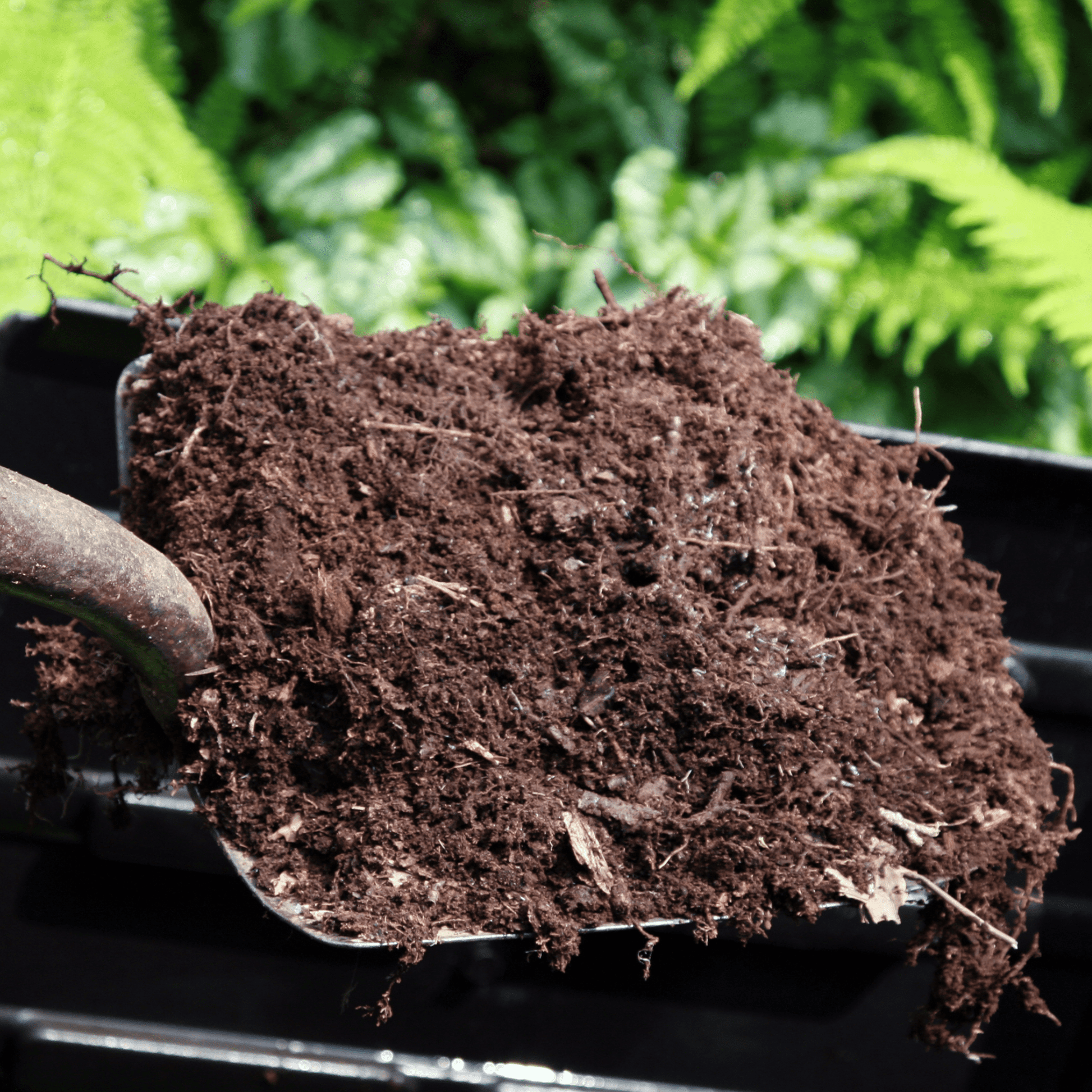 Spent Mushroom Compost - Dandy's Topsoil & Landscape Supplies Topsoil & Compost
