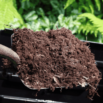 Spent Mushroom Compost - Dandy's Topsoil & Landscape Supplies Topsoil & Compost