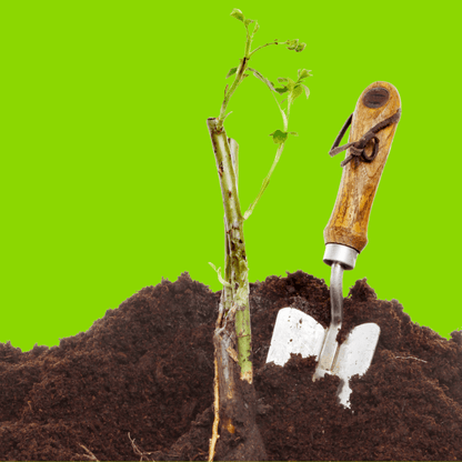 Bloom & Root® Rose Blend Topsoil - Dandy's Topsoil & Landscape Supplies Topsoil & Compost