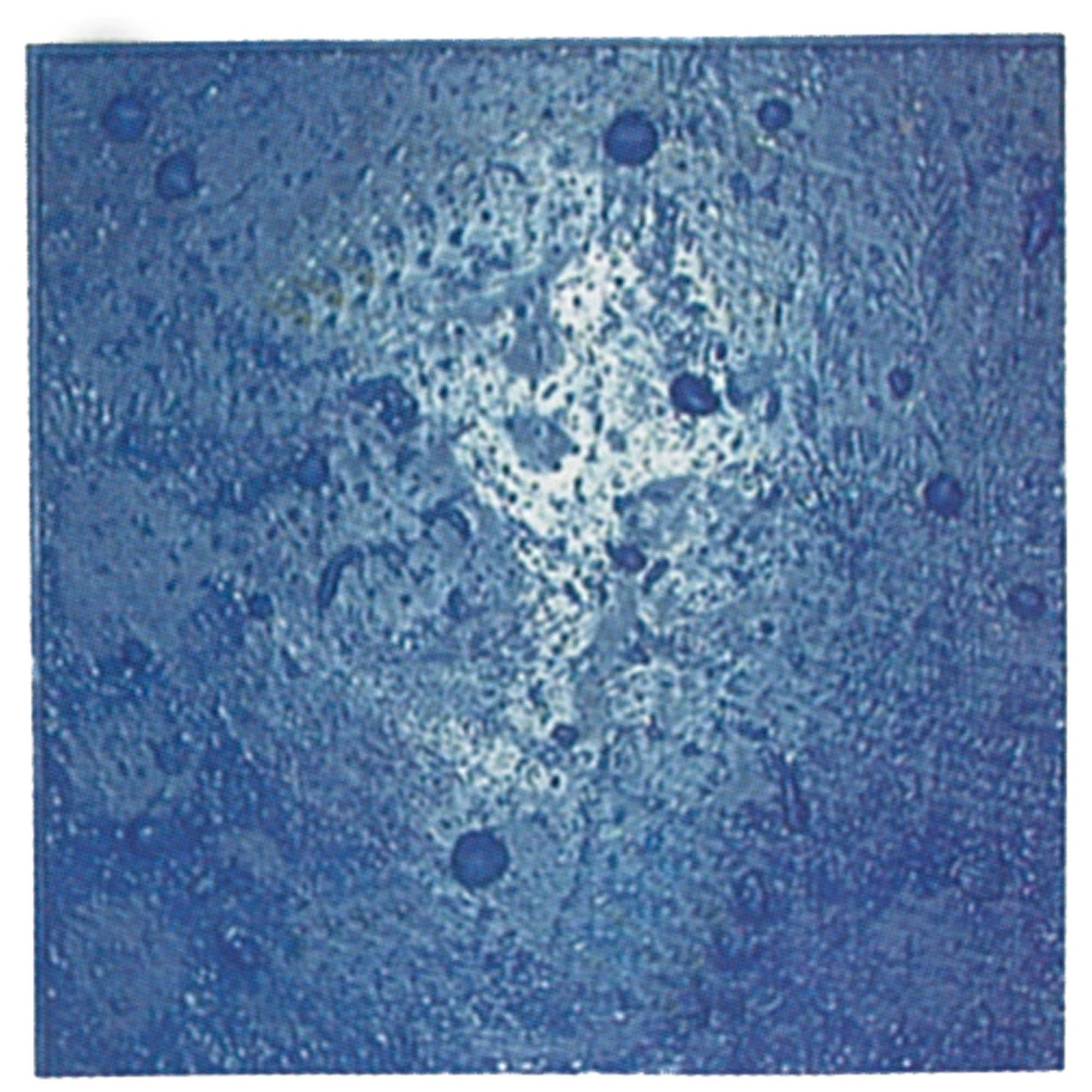 Bon Tool Sanibel Sea Shell Urethane Mat - RHINOBUILD Bricklaying Tools