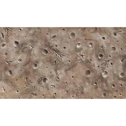Bon Tool Gulf Coast Shells Texturing Skin - RHINOBUILD Bricklaying Tools