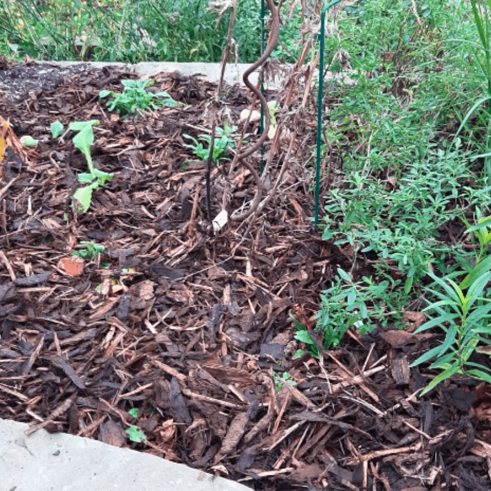 Landscaping Garden Bark Mulch - Dandy's Topsoil & Landscape Supplies Bark & Mulch