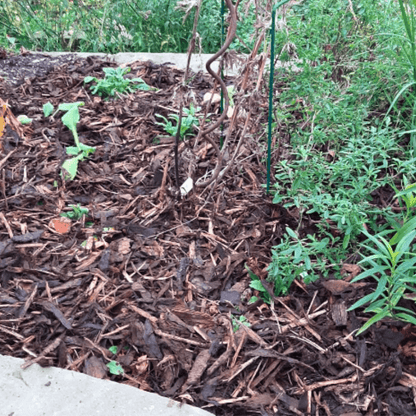 Landscaping Garden Bark Mulch - Dandy's Topsoil & Landscape Supplies Bark & Mulch