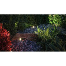 Load image into Gallery viewer, Outdoor Plug &amp; Shine LED Garden Spotlight Plantini Expansion Set
