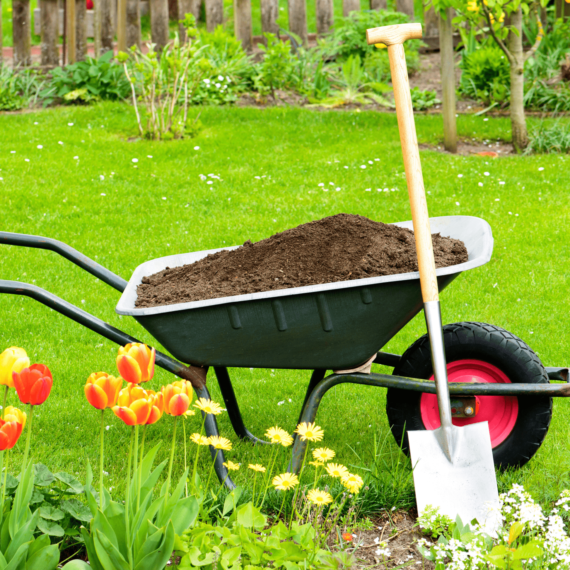 Summermix Compost Garden Mulch - Dandy's Topsoil & Landscape Supplies Topsoil & Compost