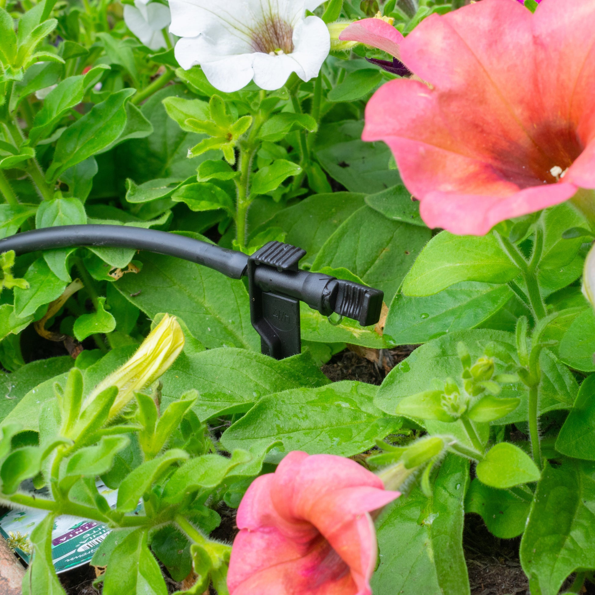 Antelco Midi Drip™ Dripper Emitters On Spike - Best4Trade-Retail Garden watering