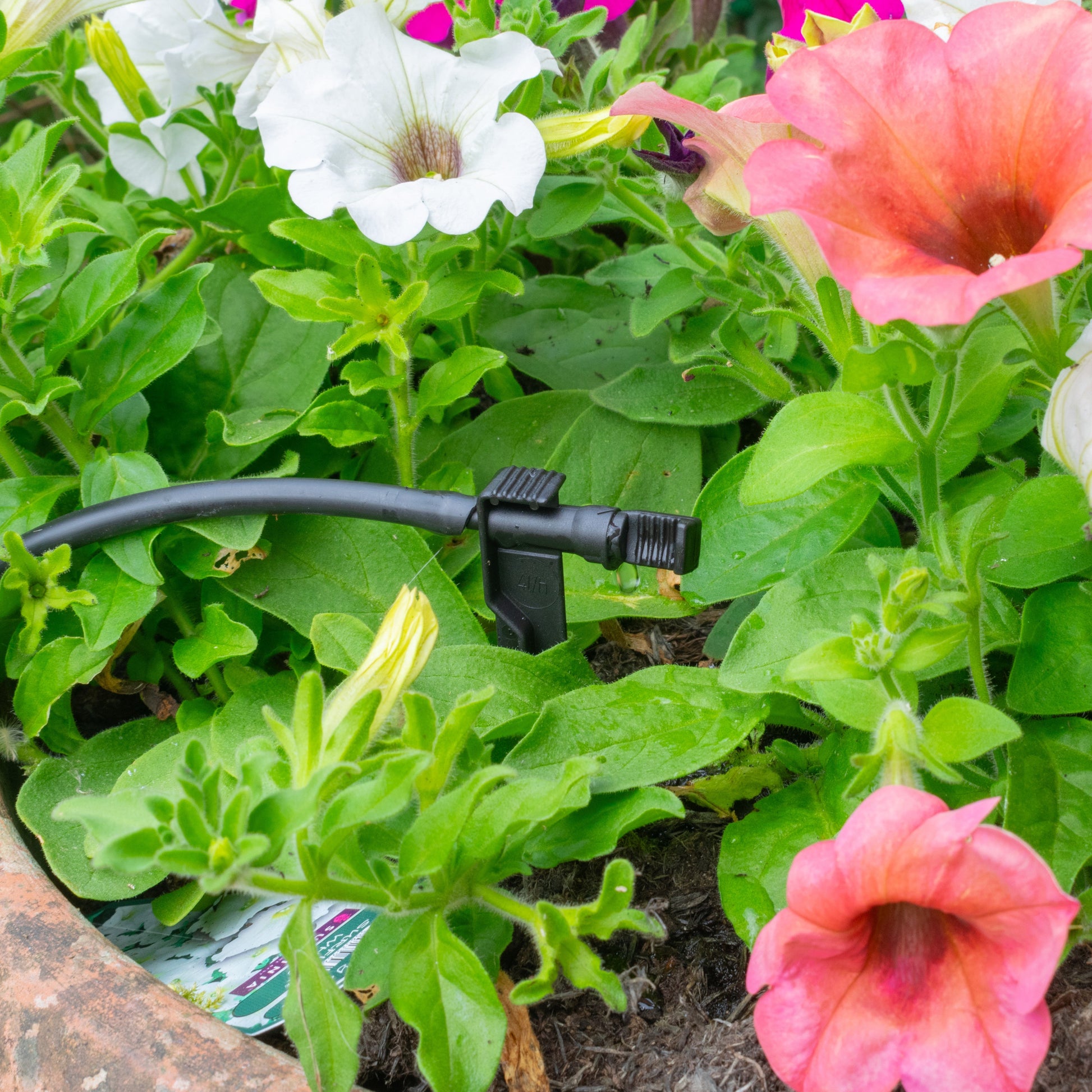 Antelco Midi Drip™ Dripper Emitters On Spike - Best4Trade-Retail Garden watering