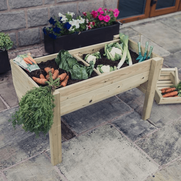 Churnet Valley Veggie Riser - 100cm x 60cm x 52cm - Churnet Valley
