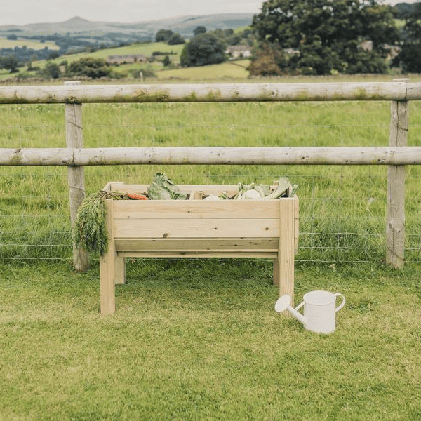 Churnet Valley Veggie Riser - 100cm x 60cm x 52cm - Churnet Valley