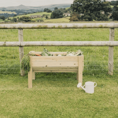 Churnet Valley Veggie Riser - 100cm x 60cm x 52cm - Churnet Valley