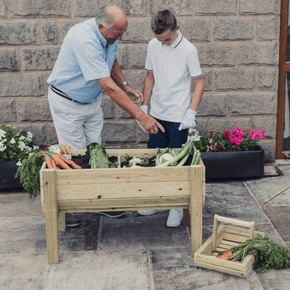 Churnet Valley Veggie Riser - 100cm x 60cm x 52cm - Churnet Valley