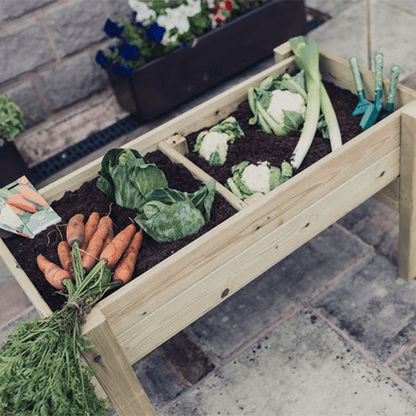 Churnet Valley Veggie Riser - 100cm x 60cm x 52cm - Churnet Valley