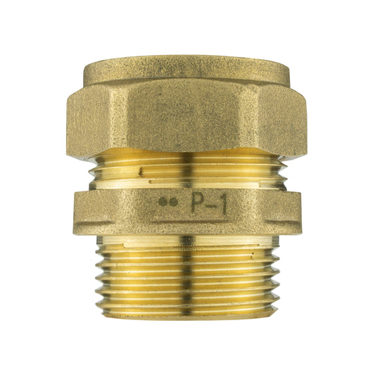 Brass Compression Straight 22mm - 3/4" BSPM
