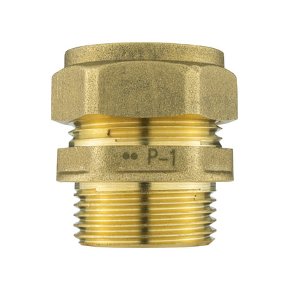 IBC 2” S60X6 Cap with Brass Compression Straight ¾” BSP – 22mm - Best4Trade-Retail