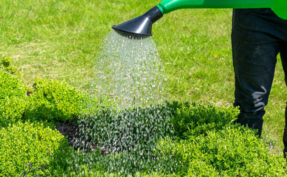Garden Watering Can 10 Litres - Best4Trade-Retail Garden watering