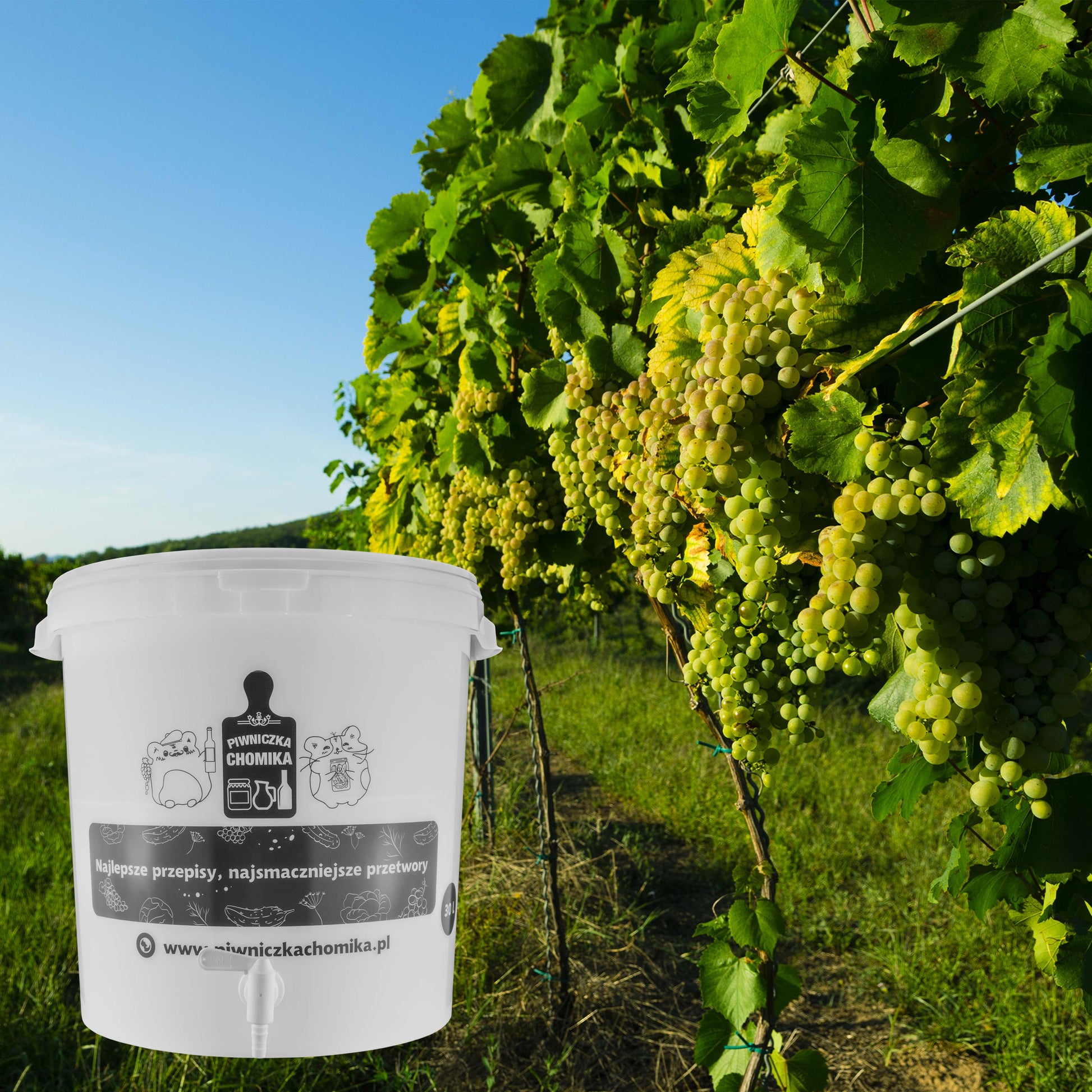 Home Brew Bucket 30L with Tap - Best4Trade-Retail Costwise Home Brewing