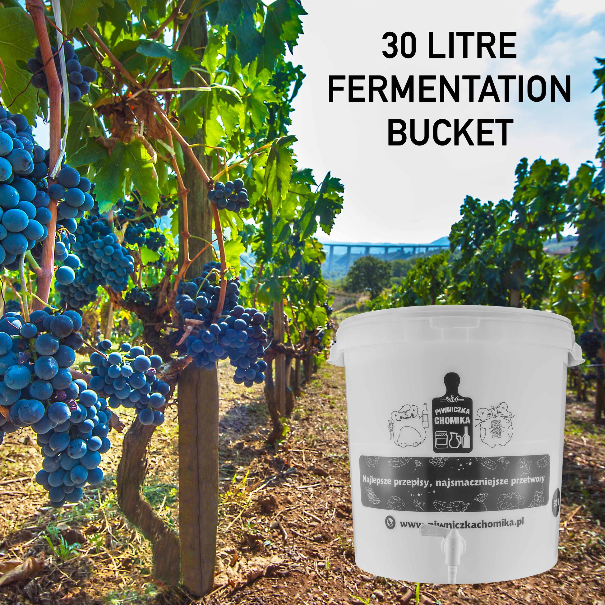 Home Brew Bucket 30L with Tap - Best4Trade-Retail Costwise Home Brewing