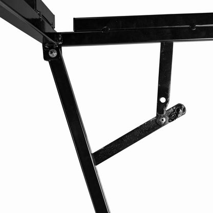 Pink Dog Bath with Drain Valve (Black) and Stand