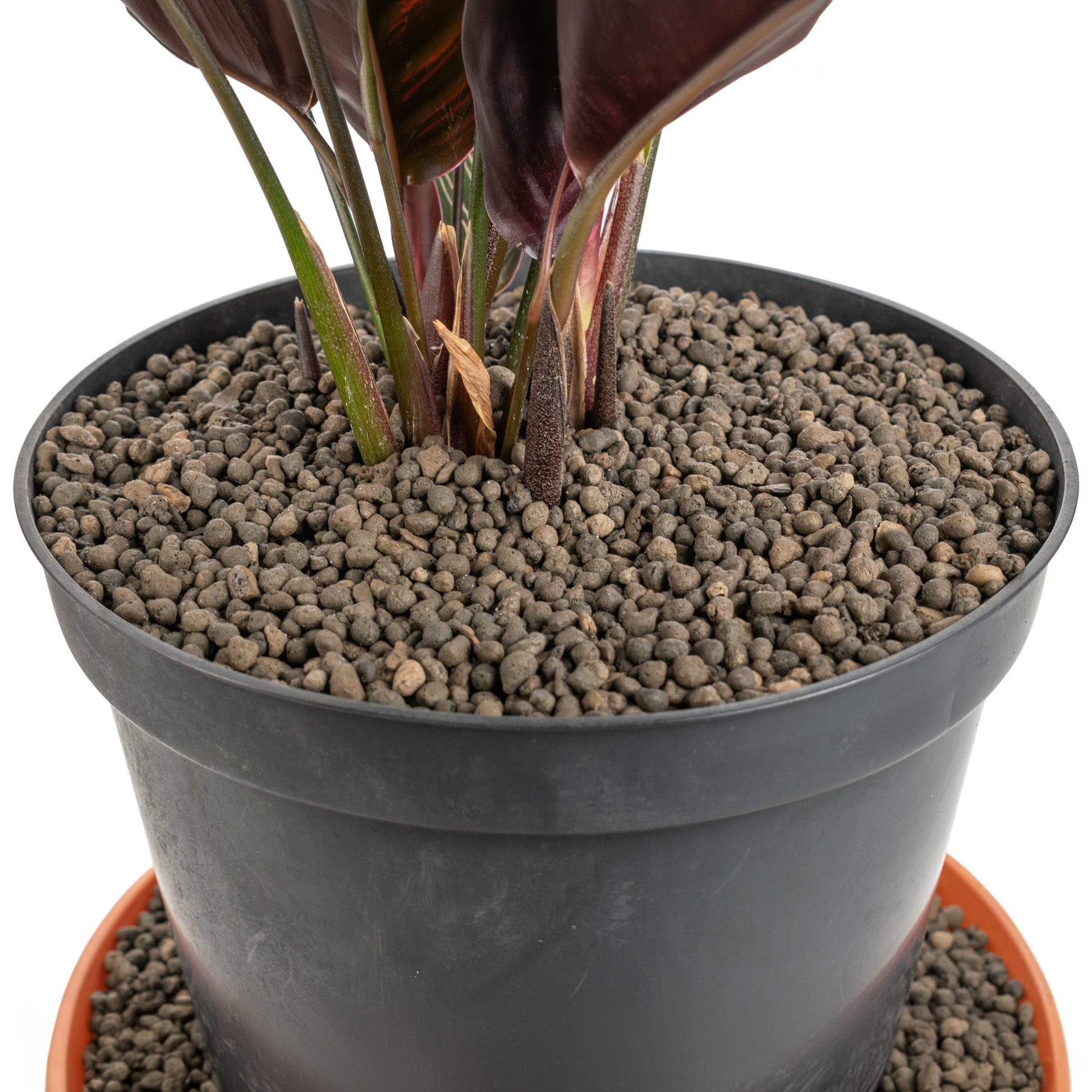 Expanded Clay Aggregate, KERAMZYT, Grade 1-4mm - Best4Trade-Retail