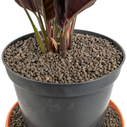 Expanded Clay Aggregate, KERAMZYT, Grade 1-4mm - Best4Trade-Retail