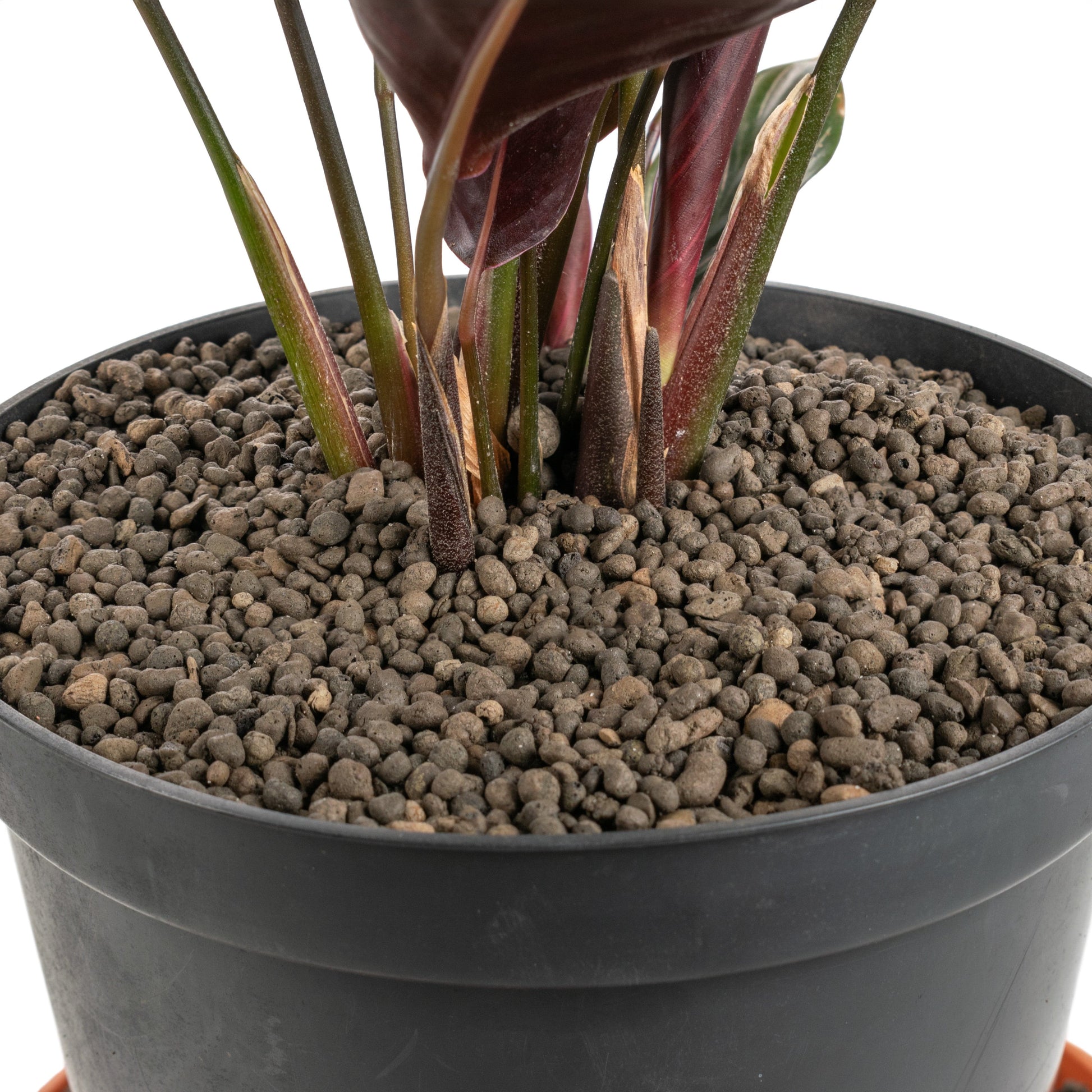 Expanded Clay Aggregate, KERAMZYT, Grade 1-4mm - Best4Trade-Retail