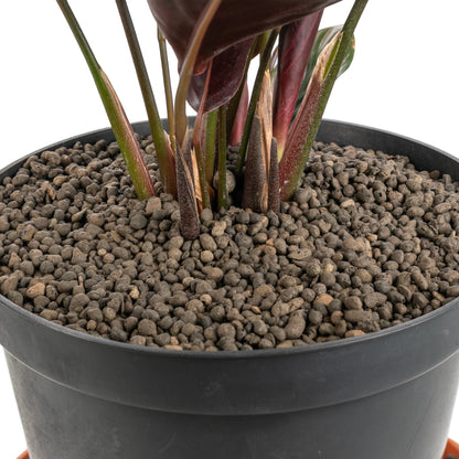 Expanded Clay Aggregate, KERAMZYT, Grade 1-4mm - Best4Trade-Retail
