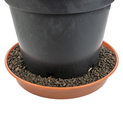 Expanded Clay Aggregate, KERAMZYT, Grade 1-4mm - Best4Trade-Retail