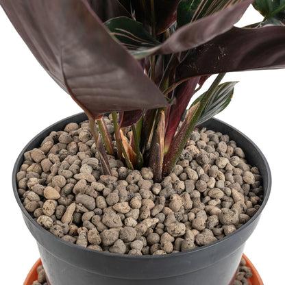 Expanded Clay Aggregate, KERAMZYT, Grade 4-8mm - Best4Trade-Retail