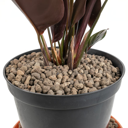Expanded Clay Aggregate, KERAMZYT, Grade 4-8mm - Best4Trade-Retail