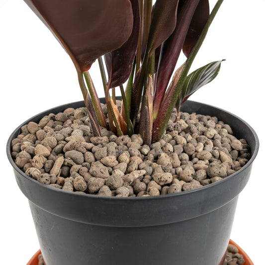 Expanded Clay Aggregate, KERAMZYT, Grade 4-8mm - Best4Trade-Retail