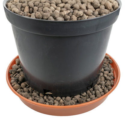 Expanded Clay Aggregate, KERAMZYT, Grade 4-8mm - Best4Trade-Retail