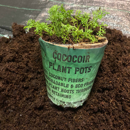 Coco Coir, Natural Growing Pot - Best4Trade-Retail