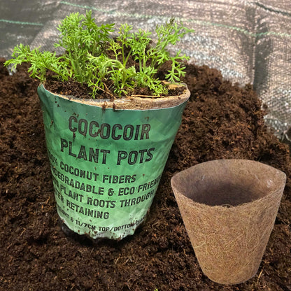 Coco Coir, Natural Growing Pot - Best4Trade-Retail