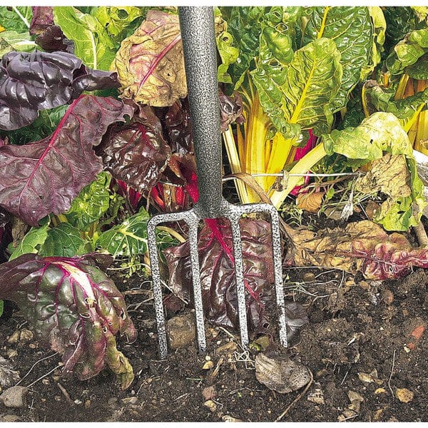 Draper Carbon Steel Border Fork - Draper