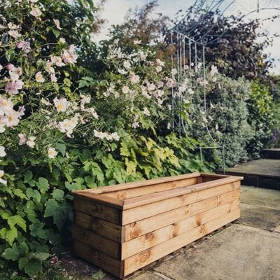 Churnet Valley Trough - XL - Churnet Valley