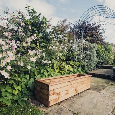 Churnet Valley Trough - XL - Churnet Valley