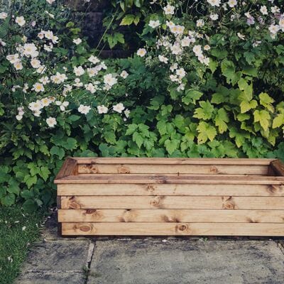 Churnet Valley Trough - XL - Churnet Valley