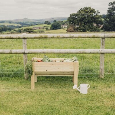 Churnet Valley Veggie Riser - 100cm x 60cm x 52cm - Churnet Valley